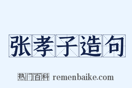 张孝子造句是什么意思的图片